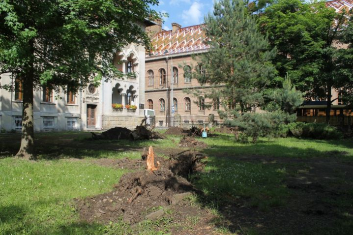 У Чернівцях демонтували пам'ятник Сидору Воробкевичу (відео)