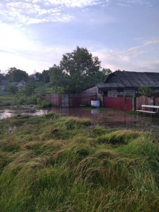 На Буковині загинули свійські тварини та затопило домогосподарства через сильну зливу(ФОТО)