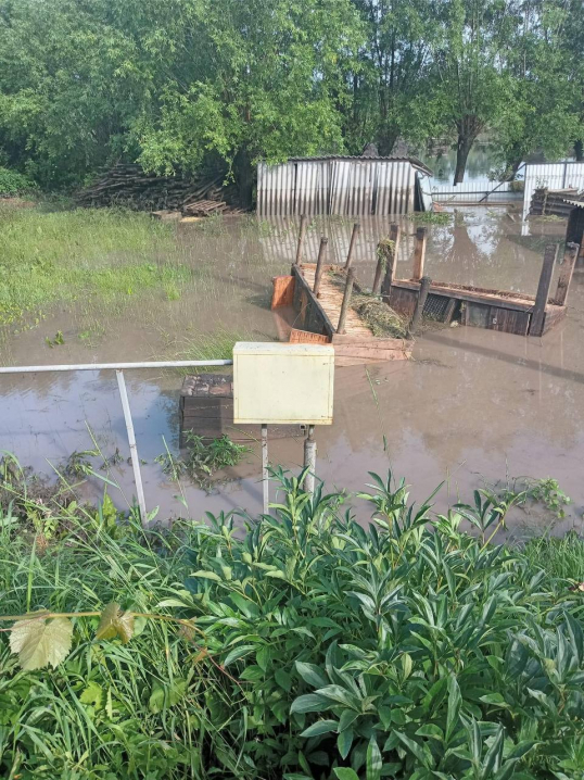 На Буковині загинули свійські тварини та затопило домогосподарства через сильну зливу(ФОТО)