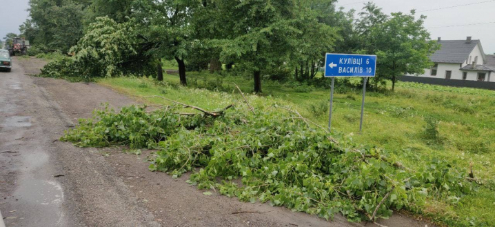 Негода на Буковині повалила дерева на автошляхах (ФОТО)
