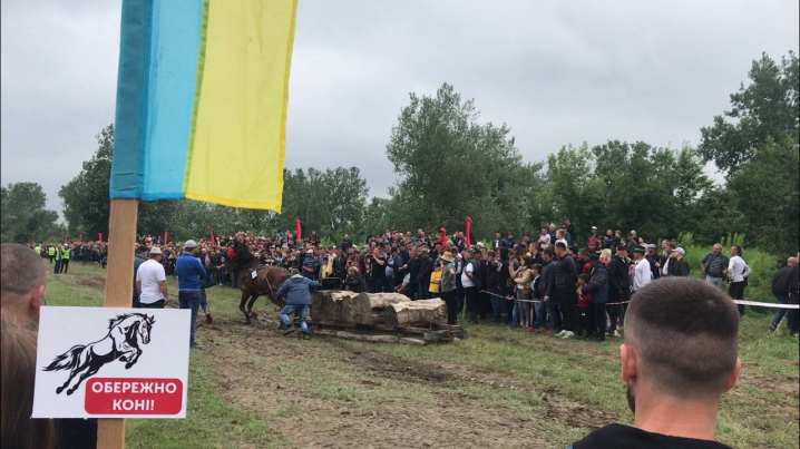 У Стрілецькому Куті відбувається видовищний фест "Коні мої, коні" (фото)