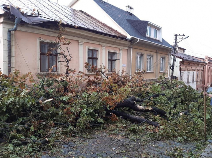 На Садовського, 7 впали дерева після непогоди: люди своїми силами розчищають дорогу