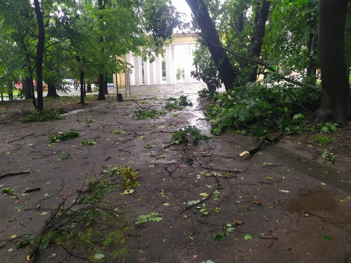 Негода добряче пошматувала парк Шевченка в Чернівцях