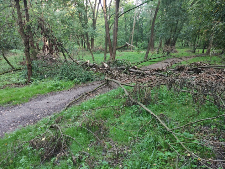 У Чернівцях комунальники і досі не можуть впоратись із наслідками негоди