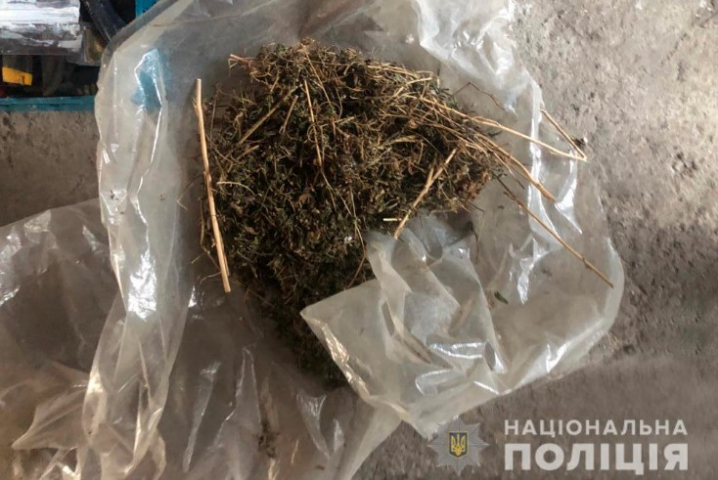 У жителя Лужан знайшли понад півтисячі рослин коноплі - поліція
