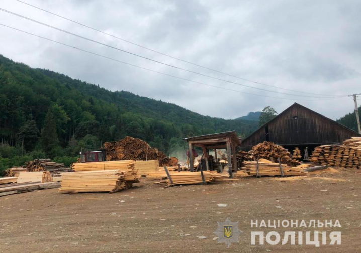 Продавали ліс із заповідної зони: на Буковині зупинили незаконний експорт деревини