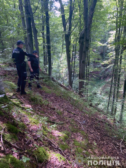 На Буковині п’яту добу шукають чоловіка, який пішов у ліс та заблукав 