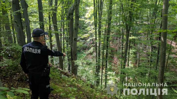 На Буковині п’яту добу шукають чоловіка, який пішов у ліс та заблукав 