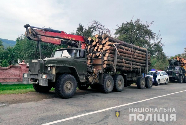 На Буковині вилучили 200 дерев, які вирубали незаконно