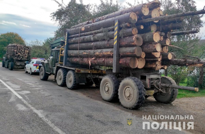 На Буковині вилучили 200 дерев, які вирубали незаконно