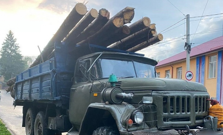 Незаконно перевозив смереку: у Вижницькому районі поліцейські викрили крадіжку лісодеревини Незаконно перевозив смереку: у Вижницькому районі поліцейські викрили крадіжку лісодеревини