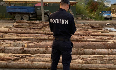 Незаконно перевозив смереку: у Вижницькому районі поліцейські викрили крадіжку лісодеревини