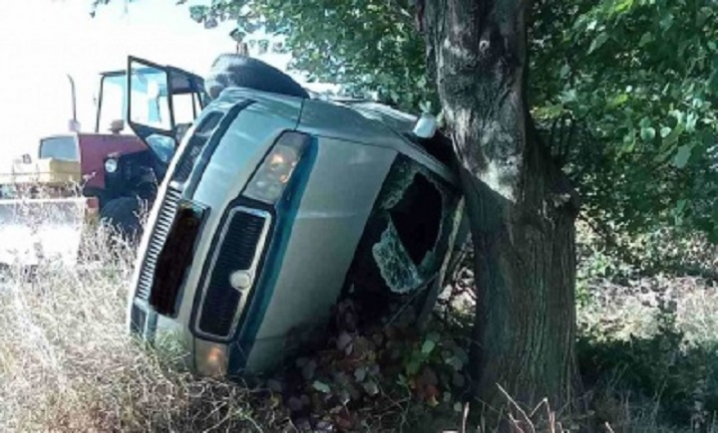 На Буковині розшукують водія, який спричинив аварію та втік