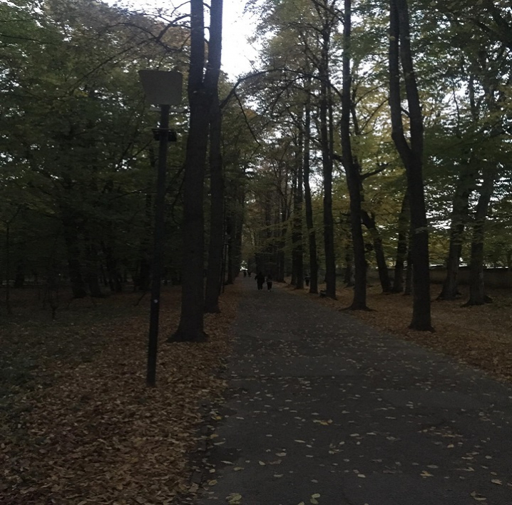 У Центральному парку Чернівців не працює освітлення
