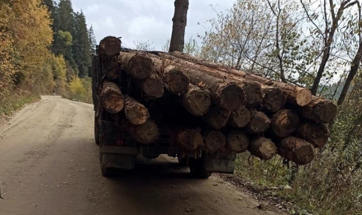 На Буковині викрили двох чоловіків, які незаконно перевозили лісодеревину