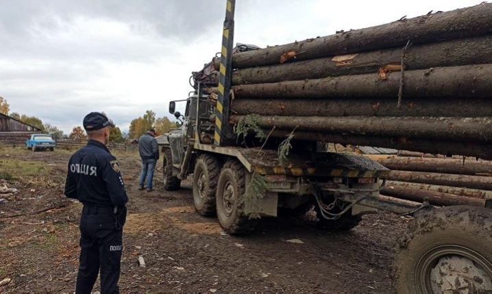 На Буковині викрили двох чоловіків, які незаконно перевозили лісодеревину