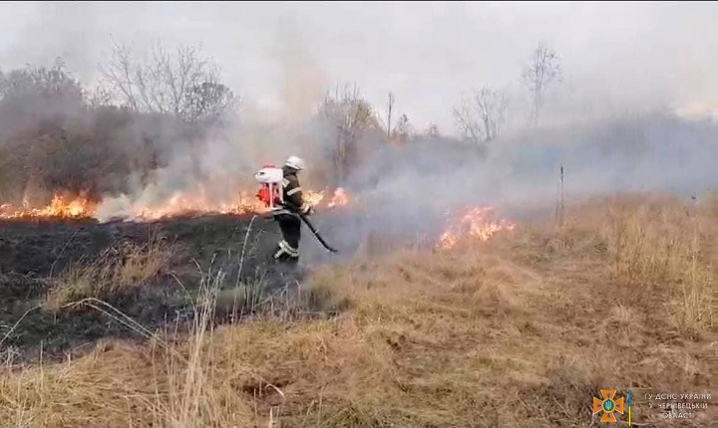 У Чернівецькій області за добу сталися 6 пожеж, більшість з них – через спалювання сухої трави