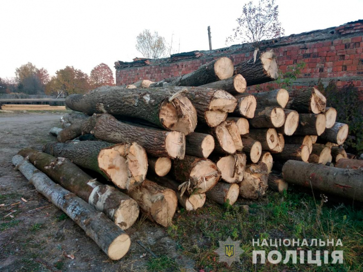 На Буковині вилучили з незаконного обігу деревину на суму понад пів мільйона гривень