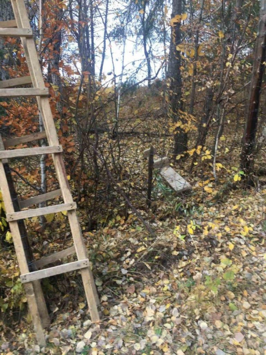 Жителя Красноїльська затримали, коли він за допомогою двох драбин переліз загорожу кордону