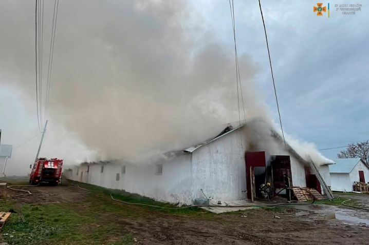 У селі Ошихліби сталася масштабна пожежа: горів пташник