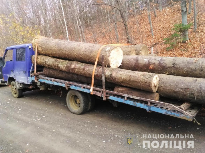 На Вижниччині невідомі намагалися вивезти лісодеревину без документів 