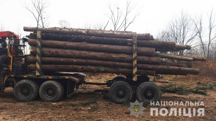 На Вижниччині невідомі намагалися вивезти лісодеревину без документів 