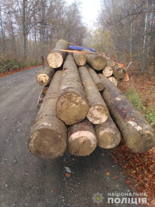 На Вижниччині невідомі намагалися вивезти лісодеревину без документів 