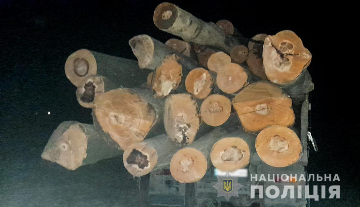 На Буковині чоловік перевозив колоди бука без документів На Буковині чоловік перевозив колоди бука без документів