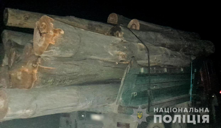 На Буковині чоловік перевозив колоди бука без документів На Буковині чоловік перевозив колоди бука без документів