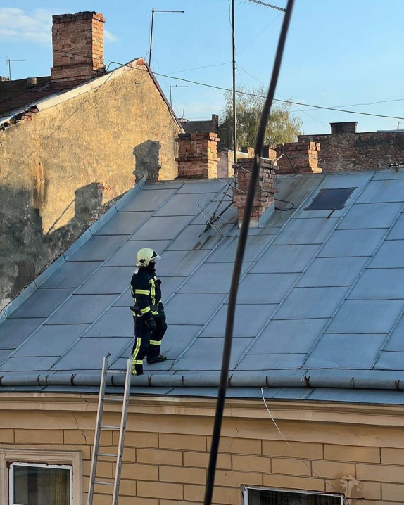 Рятувальна операція: у Чернівцях рятувальники визволяли з даху котика