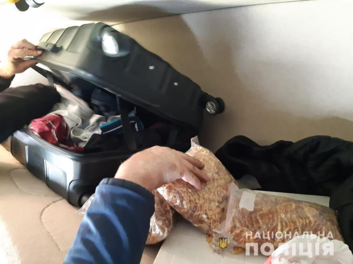 На Буковині затримали іноземця, який намагався вивезти за кордон понад 60 кг бурштину