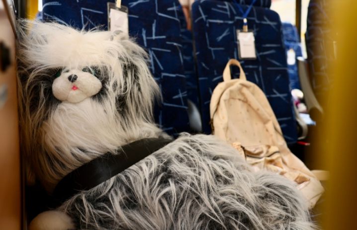 Екскурсія, яка ніколи не відбудеться: у Львові стоять порожні шкільні автобуси в пам'ять про загиблих дітей