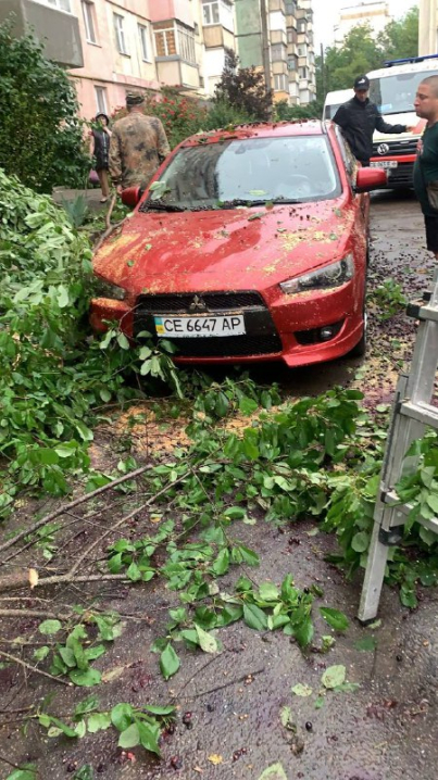 У Чернівцях під час негоди дерево потрощило автівку