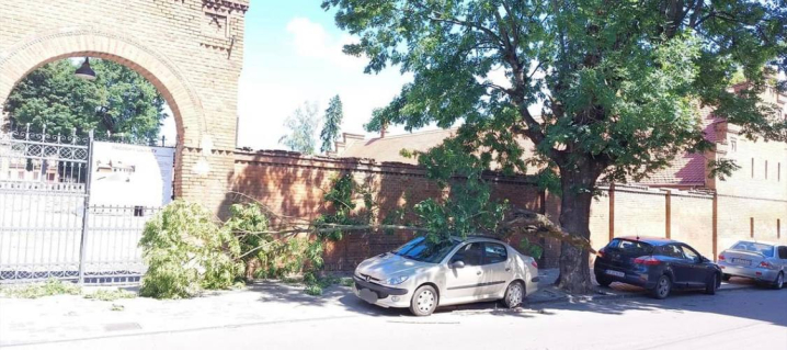 У Чернівцях біля ЧНУ величезна гілка впала на припарковане авто У Чернівцях біля ЧНУ величезна гілка впала на припарковане авто