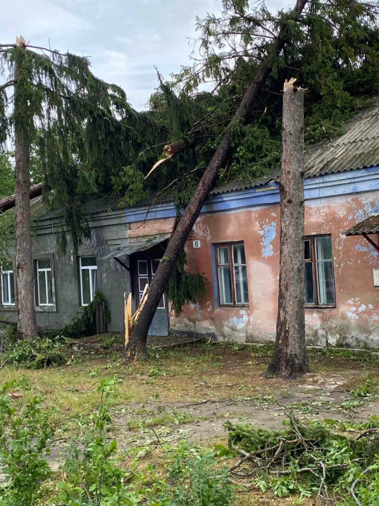 Буревій на Сокирянщині: комісія підрахувала збитки, завдані негодою