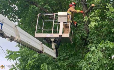 Наслідки негоди на Буковині: повалені дерева та пошкоджені лінії електропередач