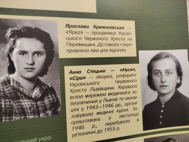 У Чернівецькому краєзнавчому музеї відкрилася виставка до 80-річчя УПА