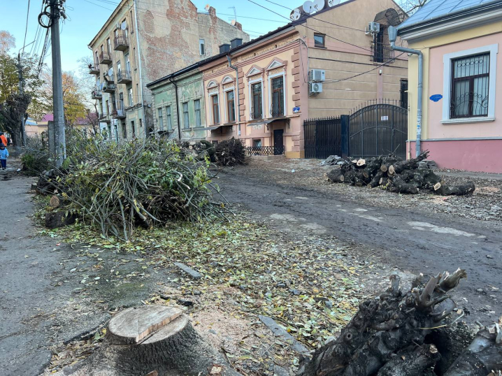 У Чернівцях на вулиці Горького поспилювали алею дерев