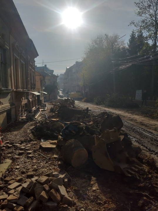 З Чернівців зробили лісопильню: у місті продовжують нищити здорові дерева