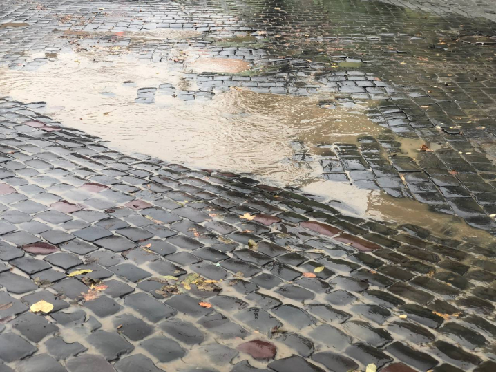 У Чернівцях на Головній багнюкою підтопило зупинку транспорту У Чернівцях на Головній багнюкою підтопило зупинку транспорту