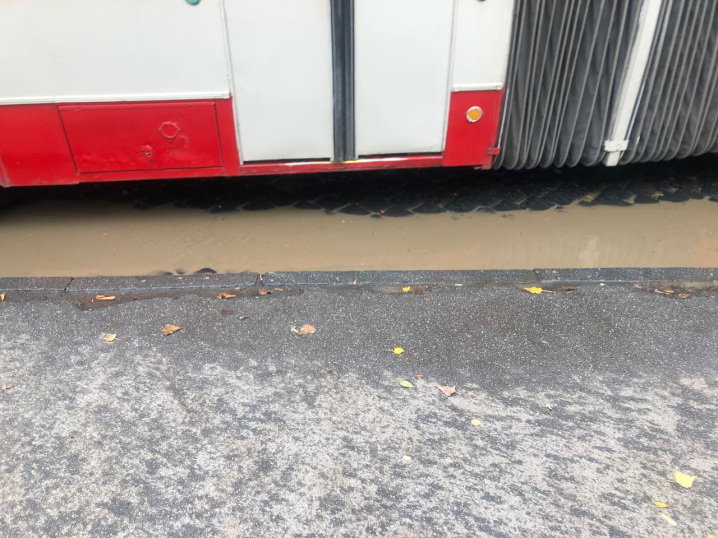 У Чернівцях на Головній багнюкою підтопило зупинку транспорту У Чернівцях на Головній багнюкою підтопило зупинку транспорту