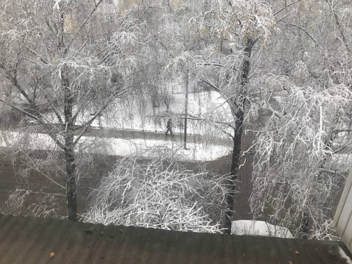 Чернівці засипає снігом: як виглядає місто сьогодні