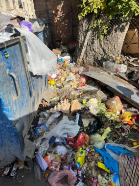 У Чернівцях розпочався прогнозований "сміттєвий колапс"