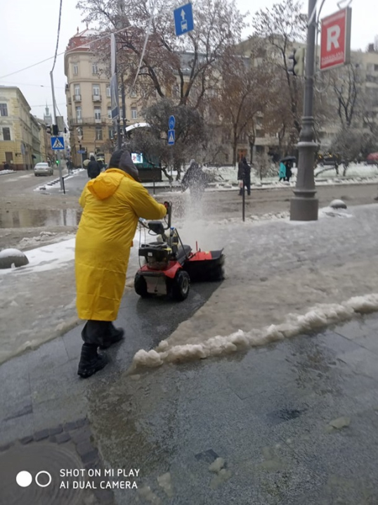 Більше сотні повалених дерев та пошкоджені авто: наслідки негоди у Львові Більше сотні повалених дерев та пошкоджені авто: наслідки негоди у Львові