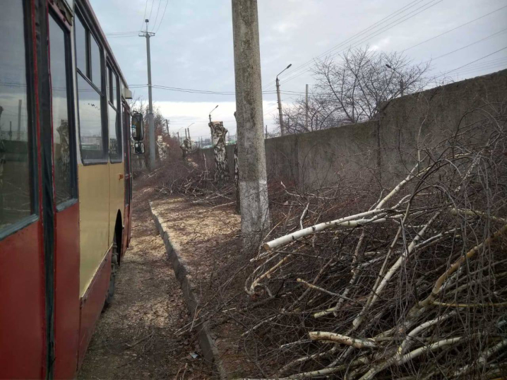 На території ЧТУ спиляли дерева: вірогідно, на дрова, як у дитячій лікарні