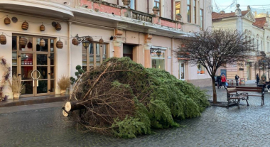 У центрі Чернівців встановили святкову новорічну ялинку