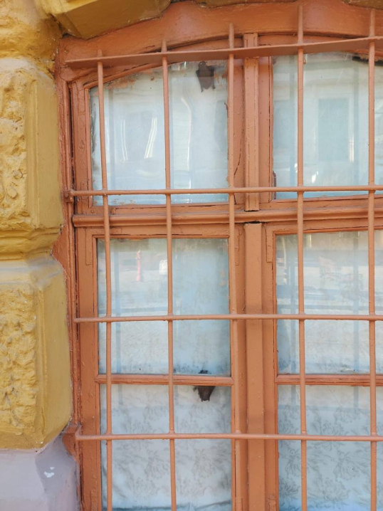 У Чернівцях кажани у краєзнавчому музеї на Кобилянської стали живими експонатами У Чернівцях кажани у краєзнавчому музеї на Кобилянської стали живими експонатами