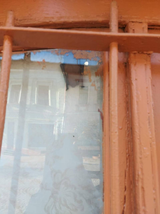 У Чернівцях кажани у краєзнавчому музеї на Кобилянської стали живими експонатами У Чернівцях кажани у краєзнавчому музеї на Кобилянської стали живими експонатами