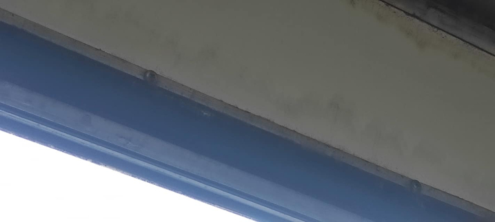 Пліснява, здерта фарба та заляпані вікна: люди жаліються на стан чернівецьких маршруток Пліснява, здерта фарба та заляпані вікна: люди жаліються на стан чернівецьких маршруток