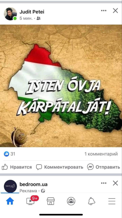 Закарпатська депутатка КМКС розмістила фото Закарпаття в кольорах угорського прапора